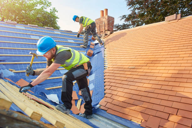 Best Roof Insulation Installation  in Newton, IA